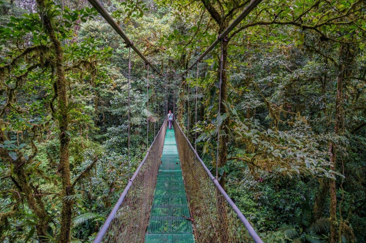 Heliconias Rainforest Lodge ビハグア エクステリア 写真