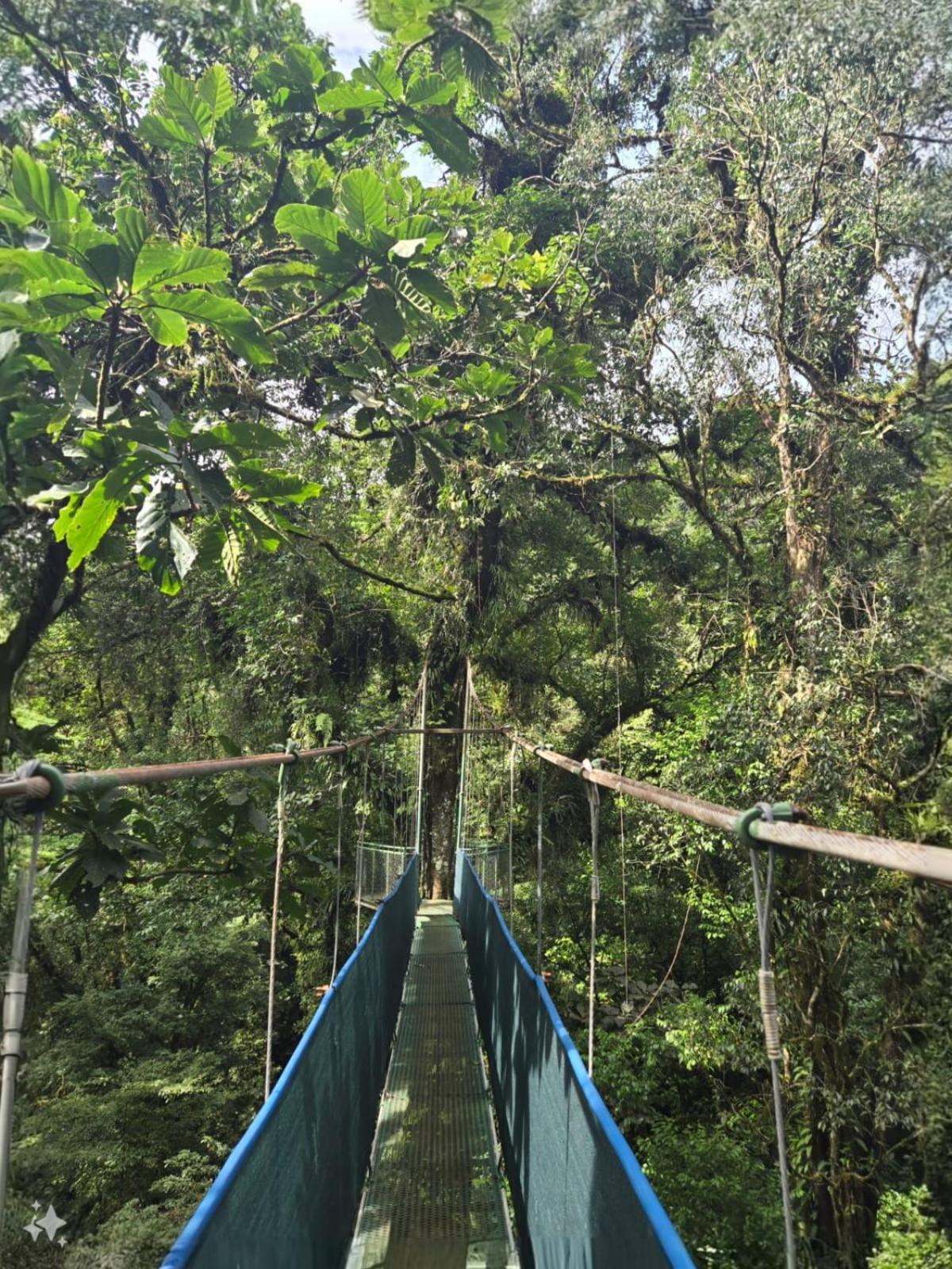 Heliconias Rainforest Lodge ビハグア エクステリア 写真