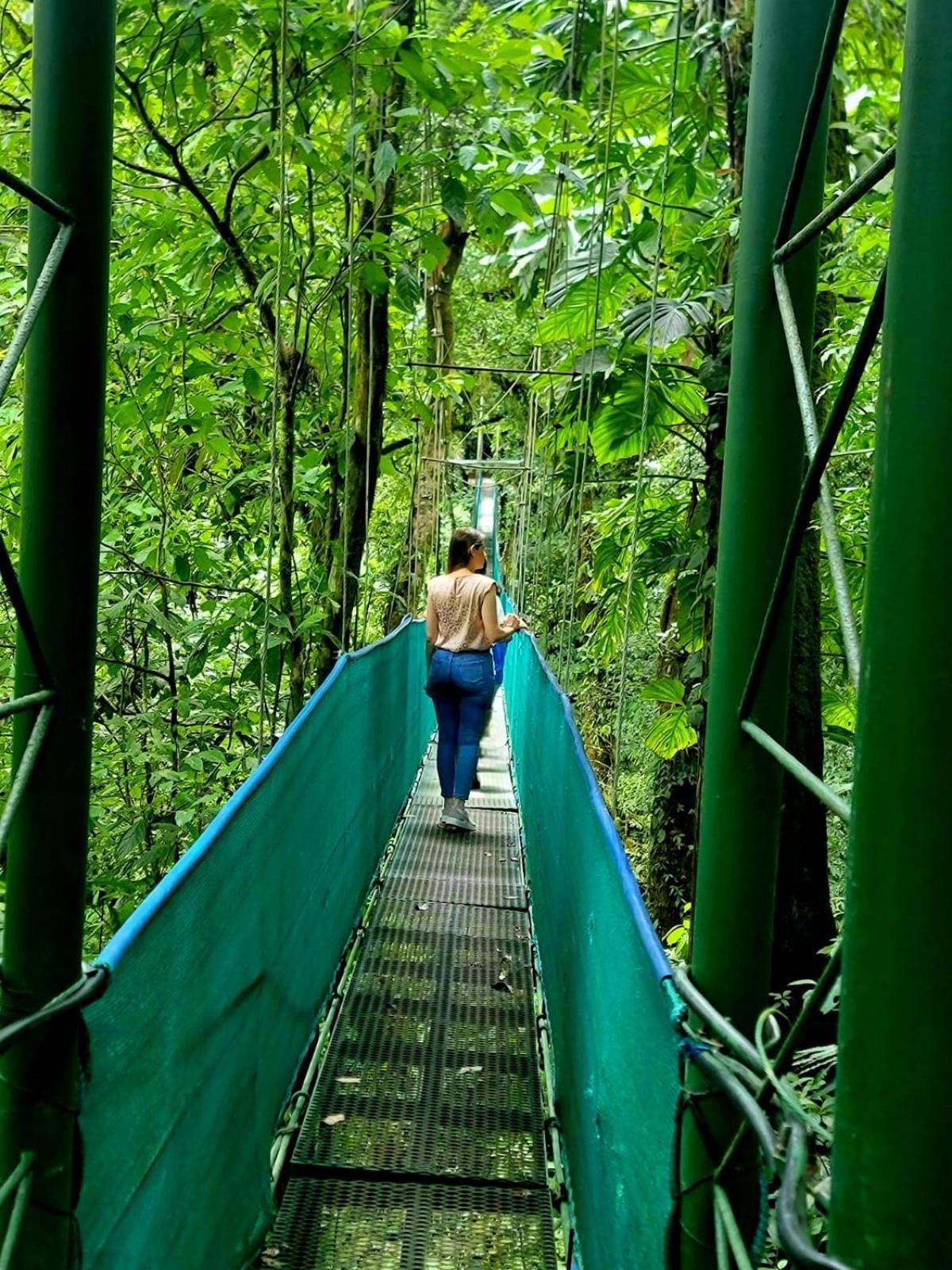 Heliconias Rainforest Lodge ビハグア エクステリア 写真