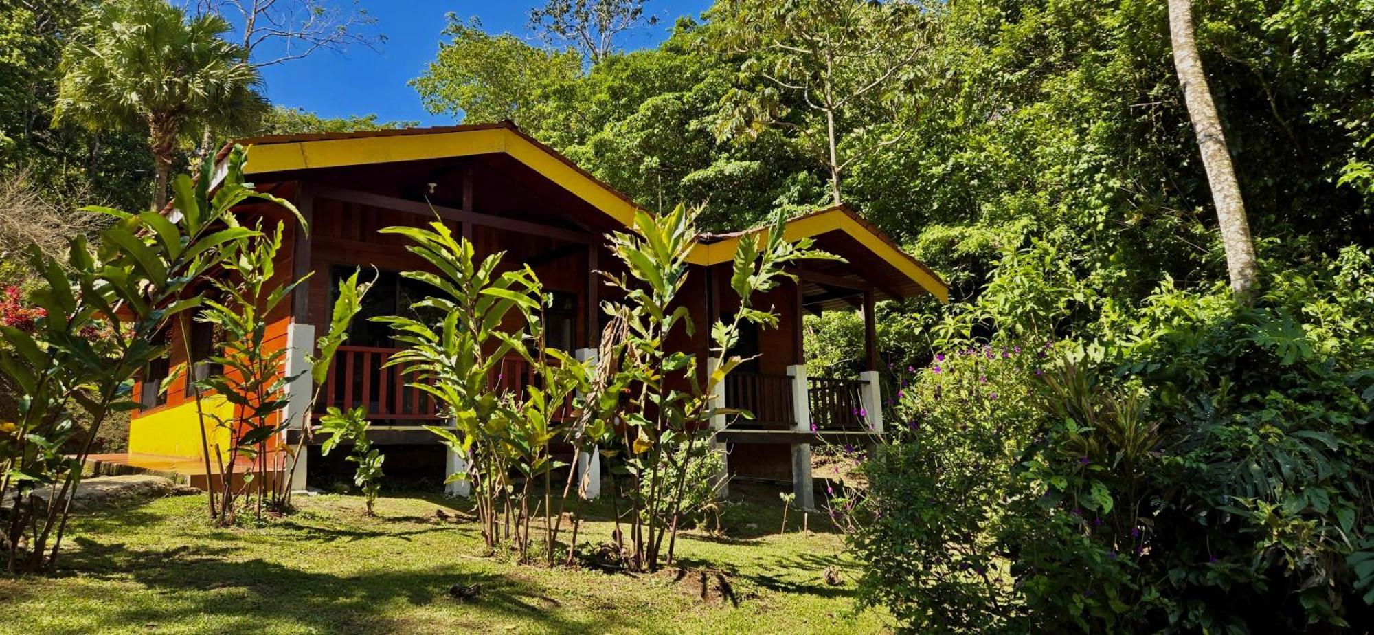 Heliconias Rainforest Lodge ビハグア エクステリア 写真