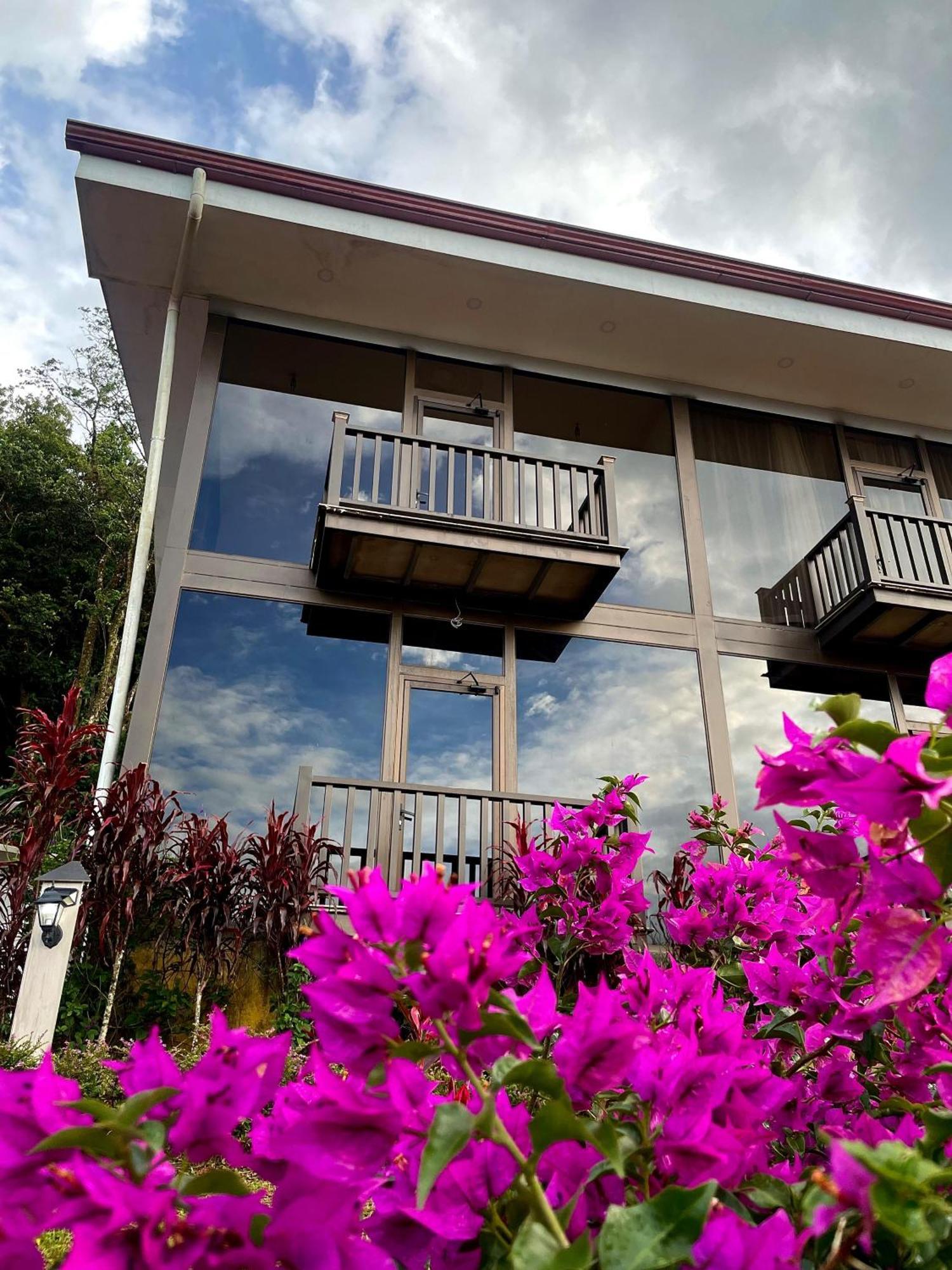 Heliconias Rainforest Lodge ビハグア エクステリア 写真
