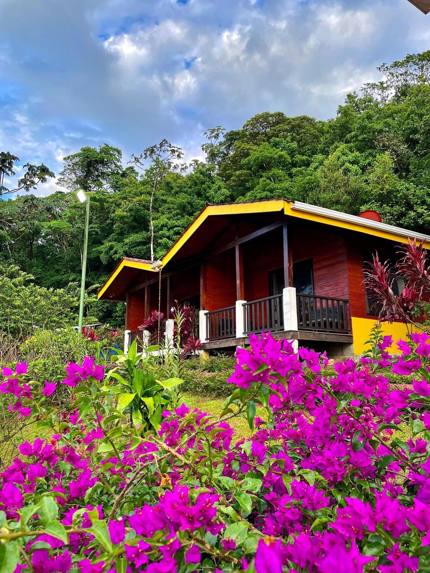 Heliconias Rainforest Lodge ビハグア エクステリア 写真