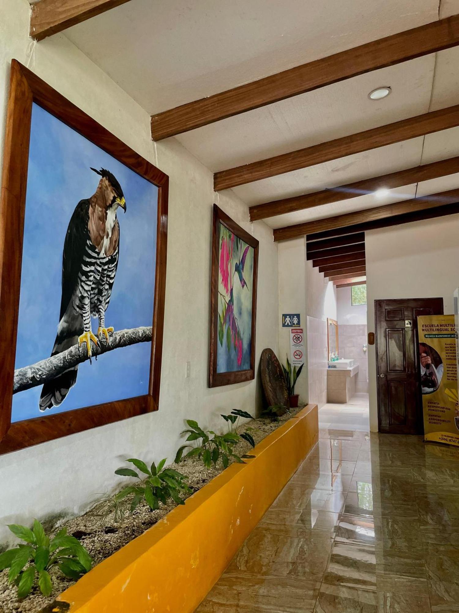 Heliconias Rainforest Lodge ビハグア エクステリア 写真
