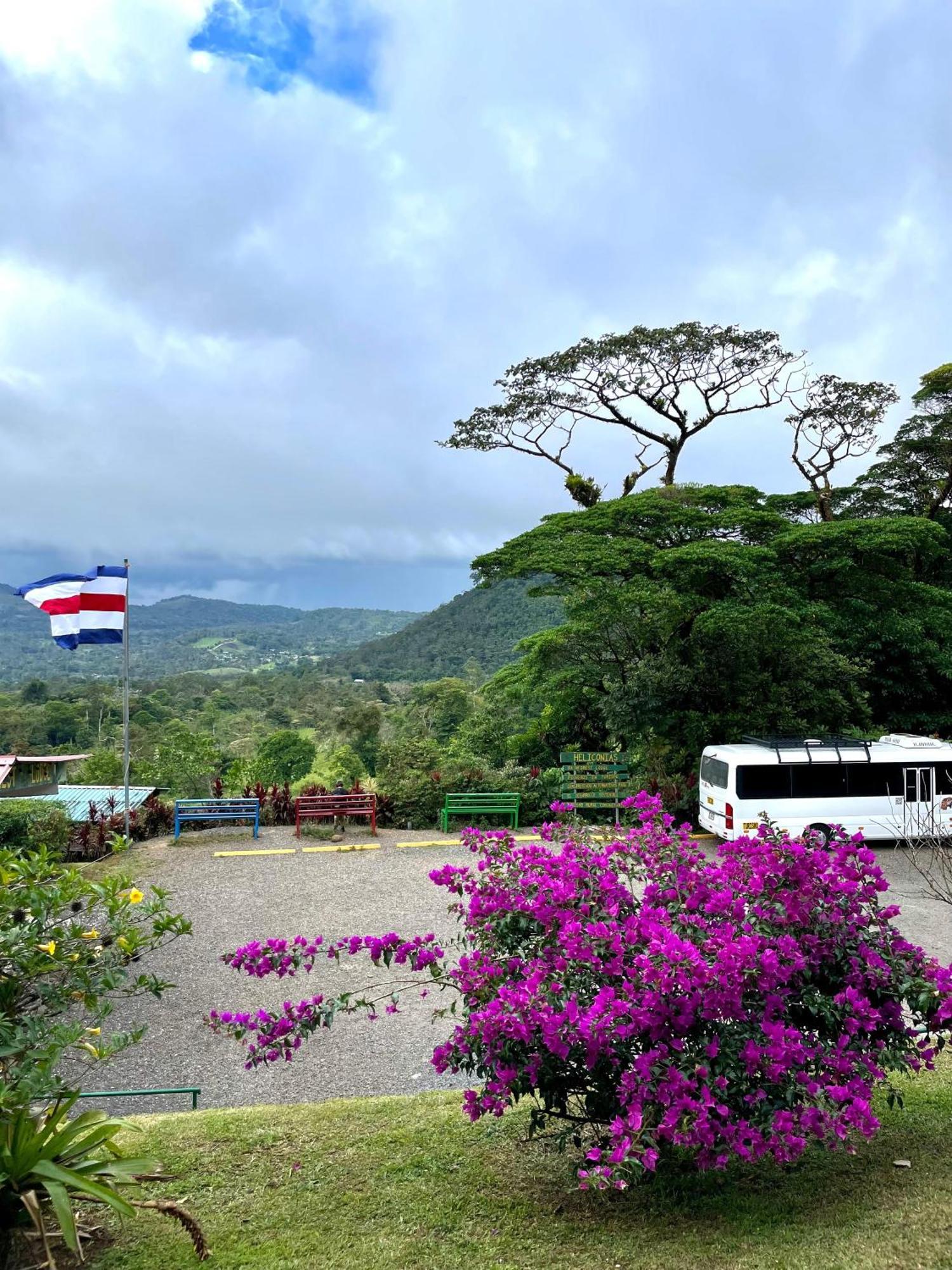 Heliconias Rainforest Lodge ビハグア エクステリア 写真