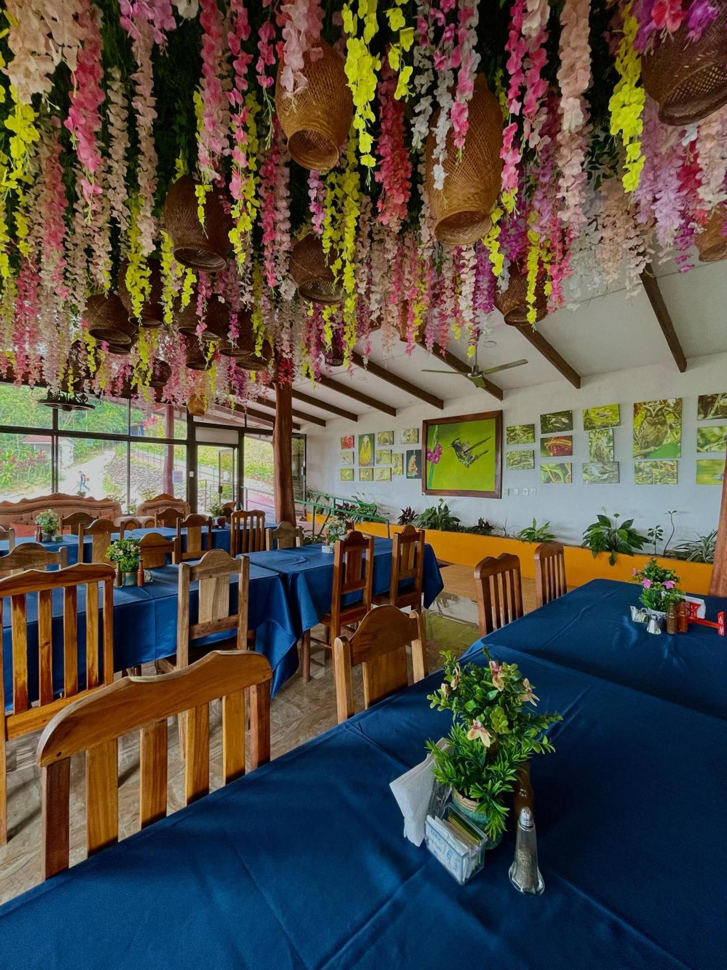 Heliconias Rainforest Lodge ビハグア エクステリア 写真