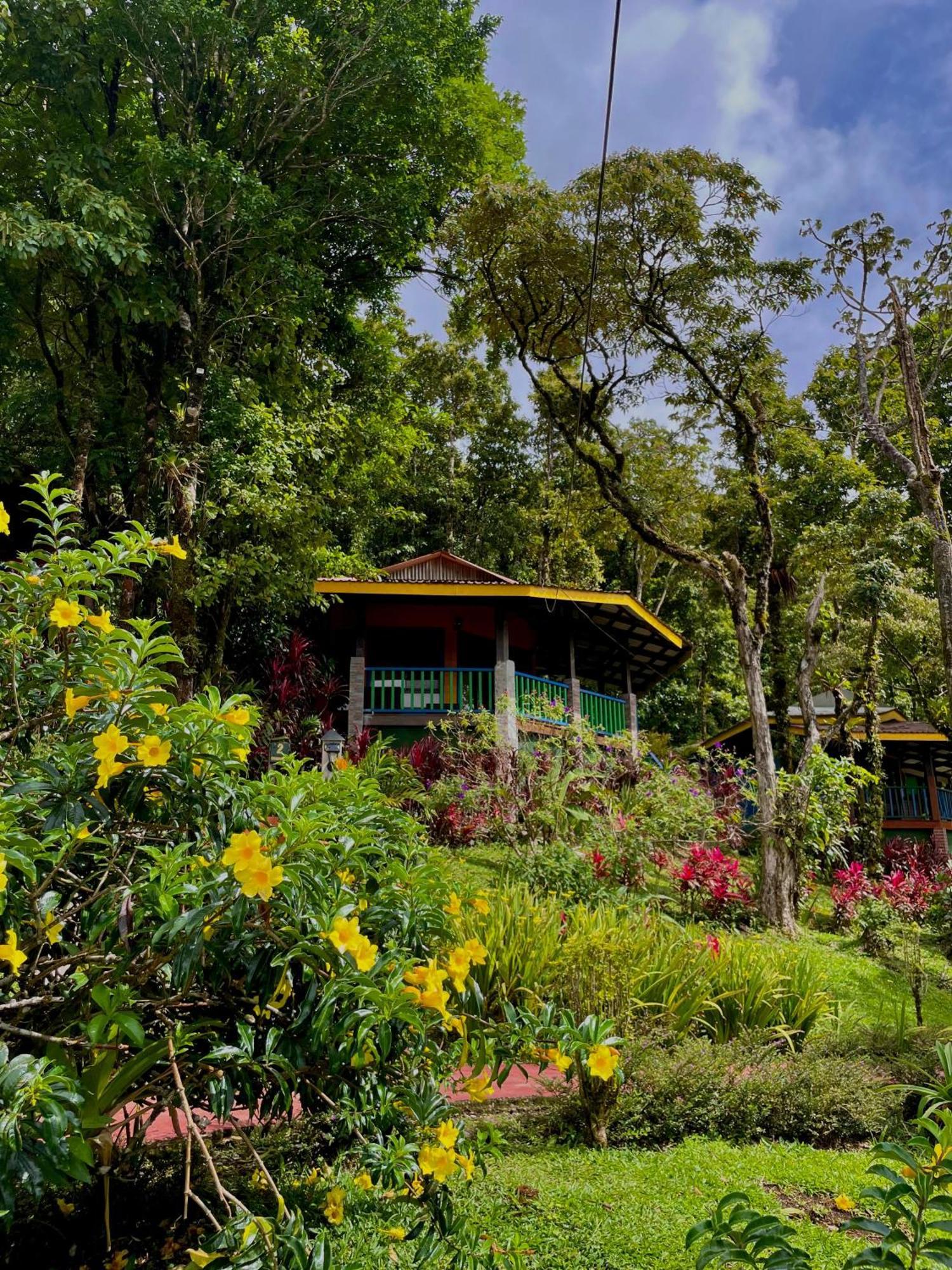 Heliconias Rainforest Lodge ビハグア エクステリア 写真