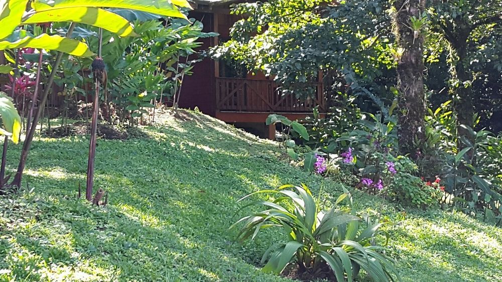 Heliconias Rainforest Lodge ビハグア エクステリア 写真