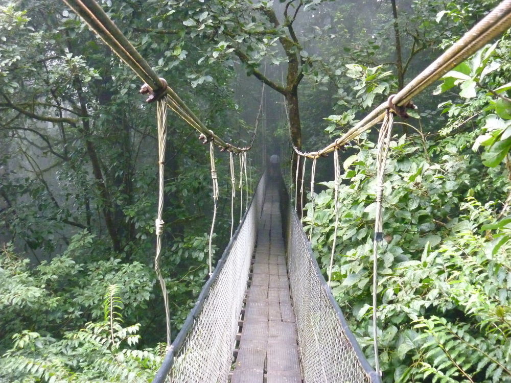 Heliconias Rainforest Lodge ビハグア エクステリア 写真