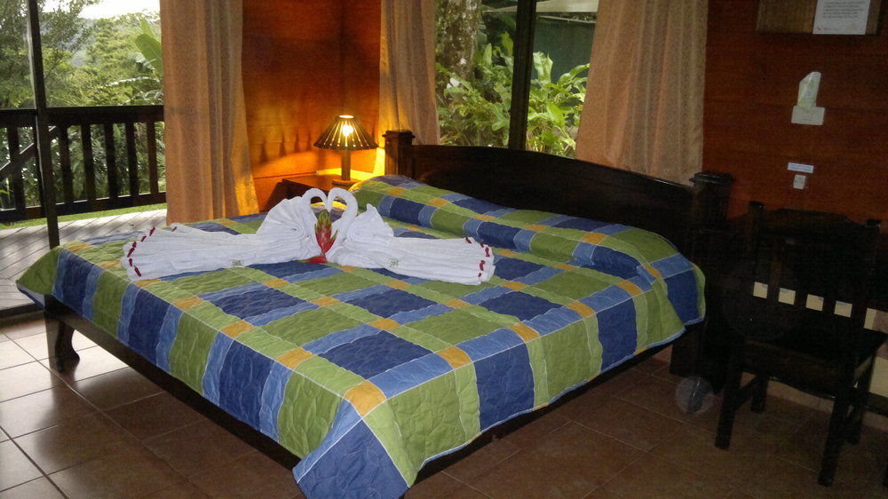 Heliconias Rainforest Lodge ビハグア エクステリア 写真